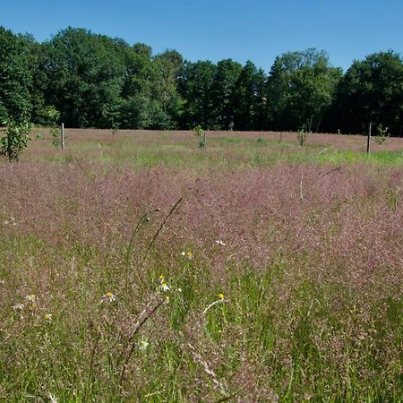 Gite Le Champ Libre Dompierre-Sur-Yon Eksteriør bilde